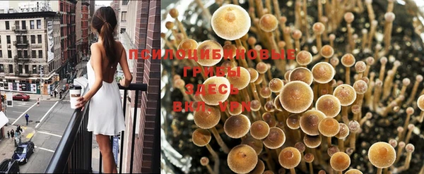 меф VHQ Магадан